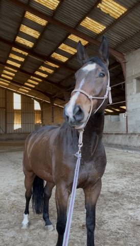 Chart'air st clair z - 9 ans