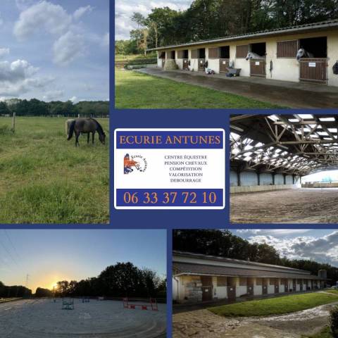 Pension chevaux - ecurie antunès - villers sur le roule