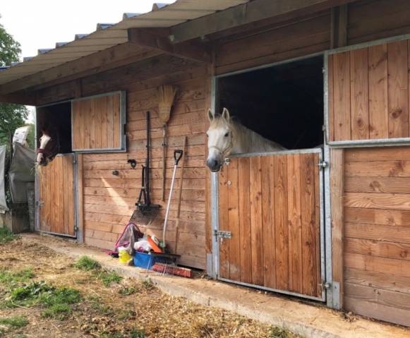  propriété equestre dans le 77 nord a vendre