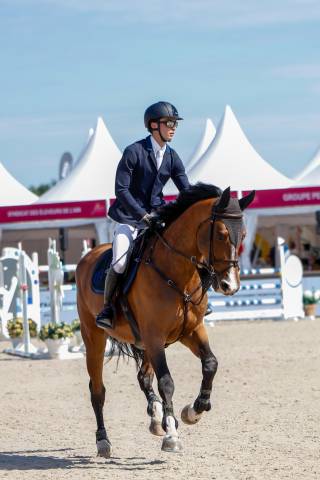 Hongre 9 ans gros moyen