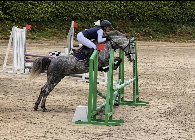 Pfs femelle 4 ans