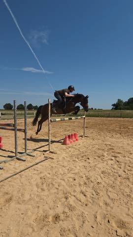 Ponette de sport - 5 ans - d - pfs