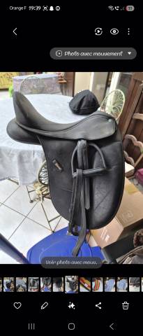 Wintec dressage