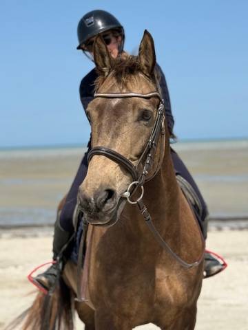 Recherche passionné(e) - tiers de pension - long terme