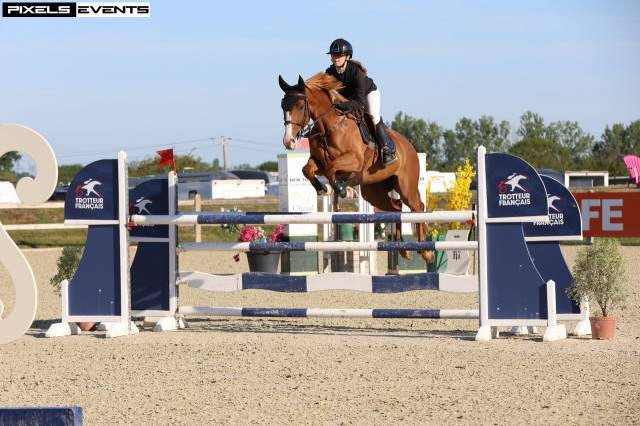 Super cheval de 8ans à vendre 