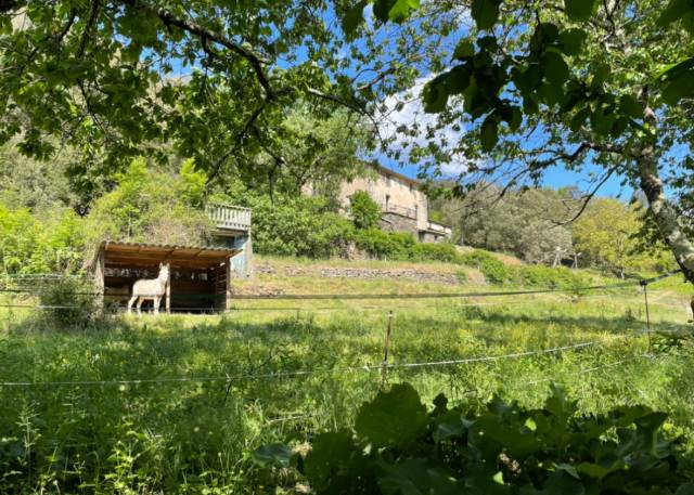 Mas en cévennes