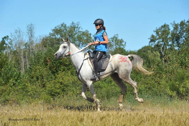 Jument 12 ans qualifiée cen**