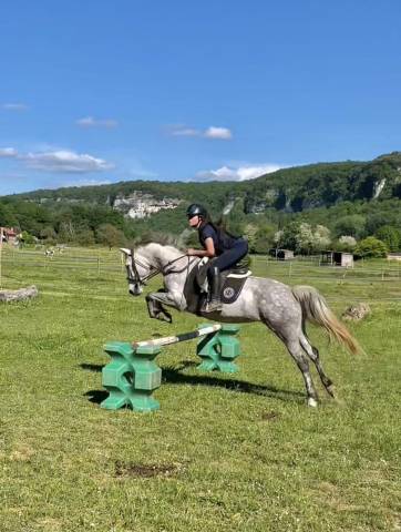Petite jument pfs/connemara