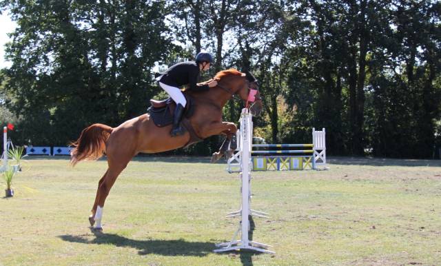 Jument à vendre ivresse du rablais 