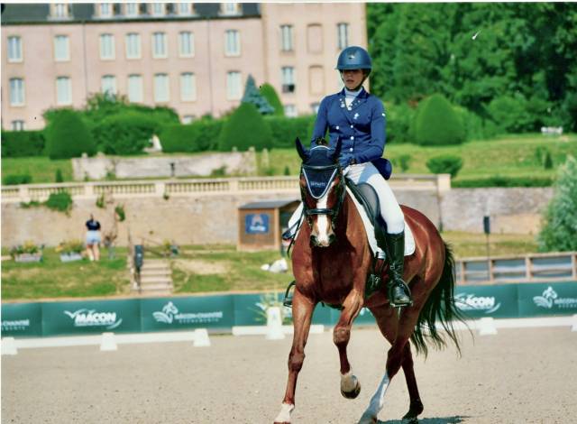 Jument hanovrienne dressage 10 ans