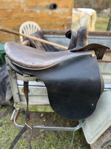 Selle amazone 