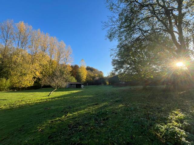 Maison avec patûre d un hectare