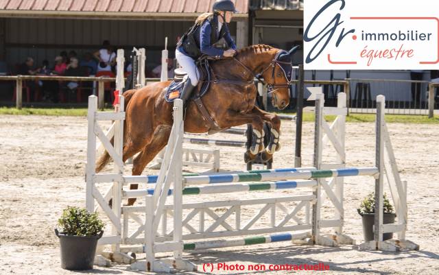 Reprise centre équestre - cession de fonds/location