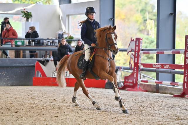 Vends poney d 1,47 prêt p2/p1 potentiel as