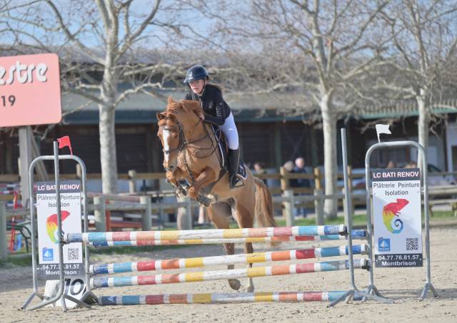 Vends poney d 1,47  prêt p2/p1 potentiel as