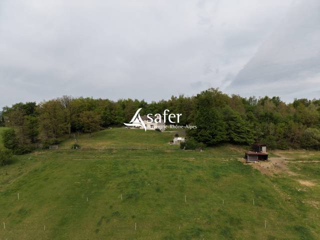 Propriété à vocation équestre en région stéphanoise