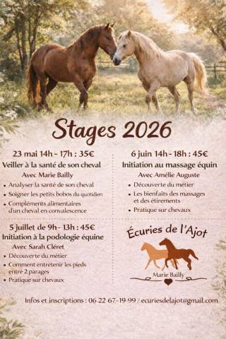 Stages bien-être 
