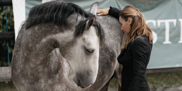 Kandinsky lgs : etalon aes