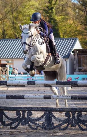 Jument de cso à vendre / location option d’achat