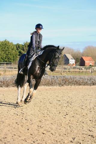 Kampenhout:demi-pension / halve pension