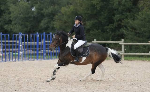 Hongre assurance vie