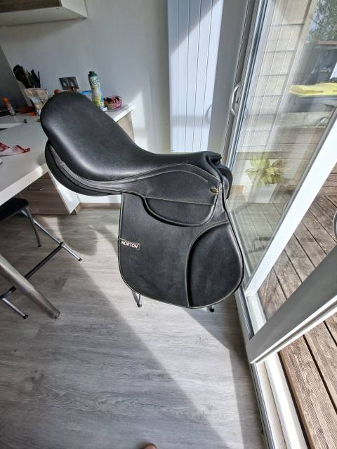 Selle norton dressage 