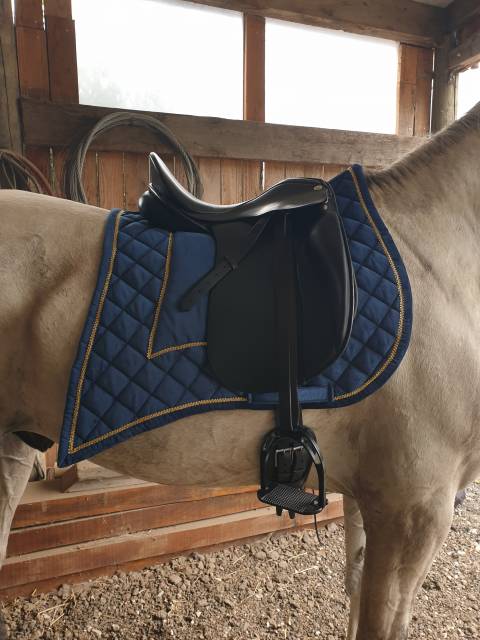 Selle de dressage zaldi new kent - 16,5