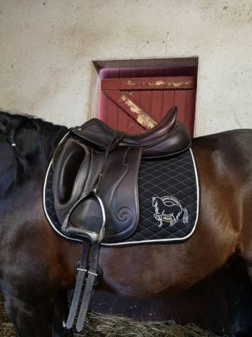 1600€ selle dressage 17,5 marque scb localite 64/40