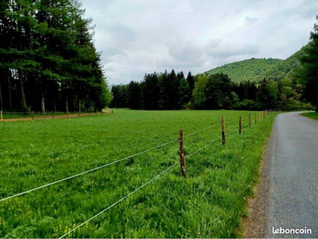 Pension au pre pour chevaux