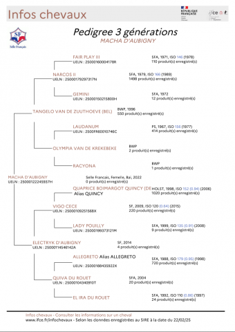 Jument sf 4 ans origines 10/10
