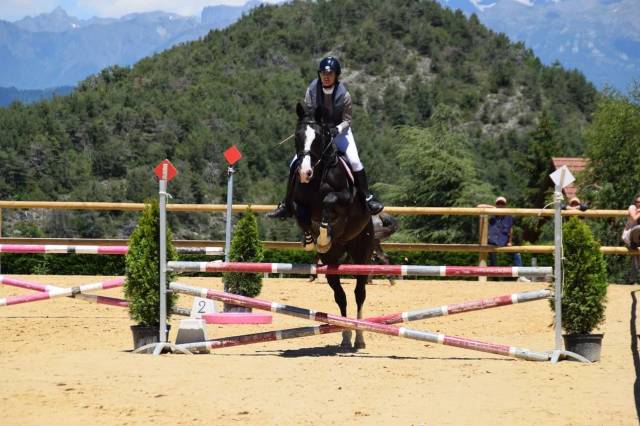 Hongre z 16 ans top gun la silla 