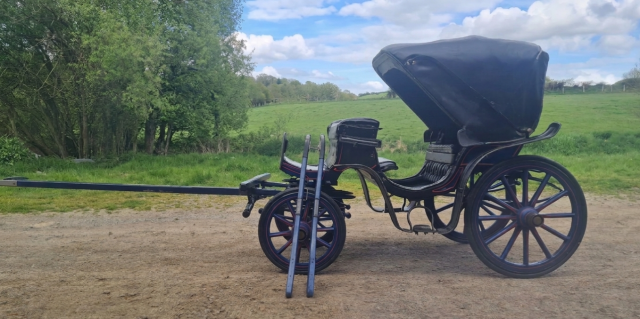 Calèche victoria petit modèle - poney / âne (50150 brou