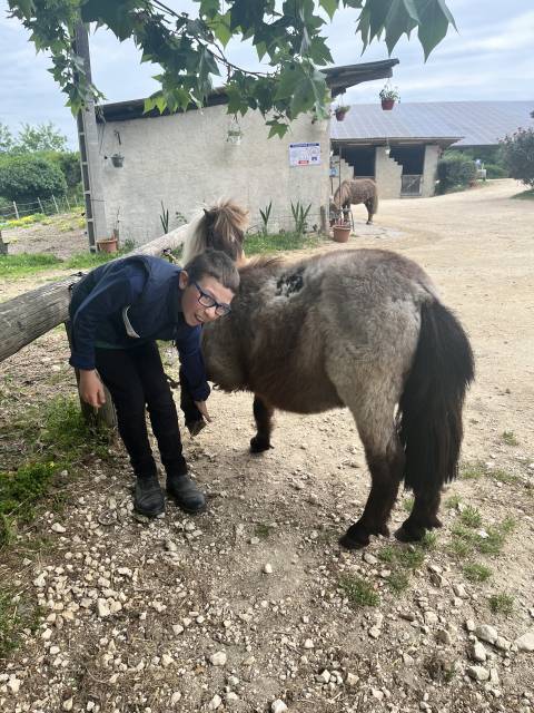 Adorable poney pour enfants