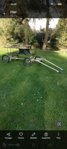 Calèche 4 personnes