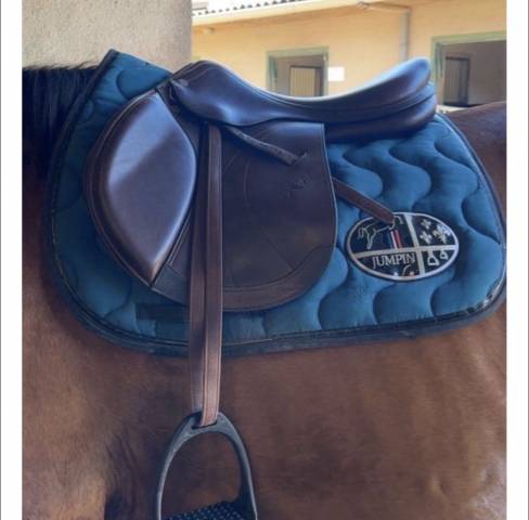 Selle  équipe 17,5 