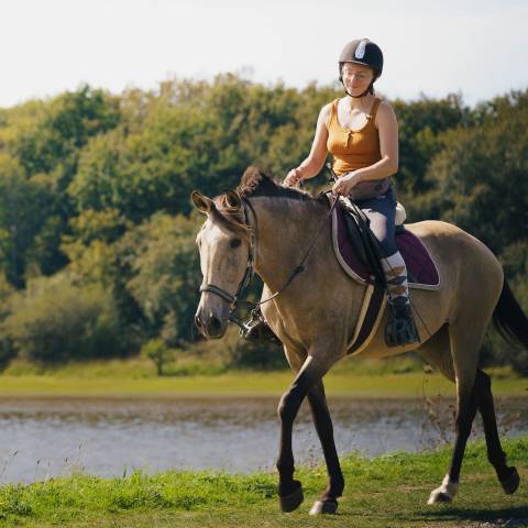Jument ibérique isabelle fumé 12 ans