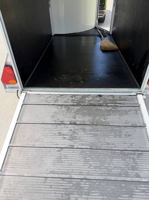 Vans cheval liberté 