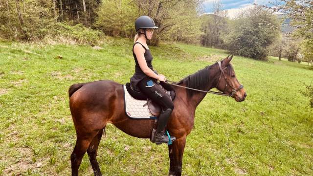 Jument 5 ans pur-sang