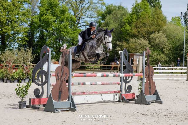 à vendre – jument cso - amateur élite