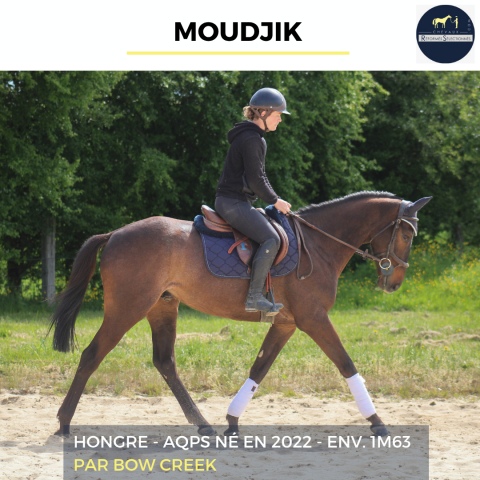 Moudjik - aqps - 4 ans