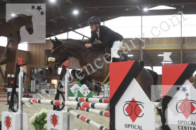 Hongre de 8ans à vendre 