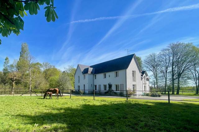Propriété équestre 4,5 hectares,  saffré 10 pièce(s) 240 m2