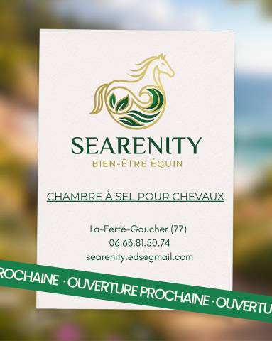 Bien être équin - offrez à votre cheval les bienfaits de l’air marin