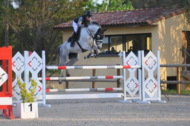 Jument de sport 8 ans top qualité