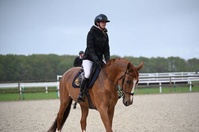 Jument cso à vendre 