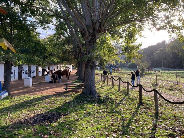 Moniteur d 'equitation, enseignant