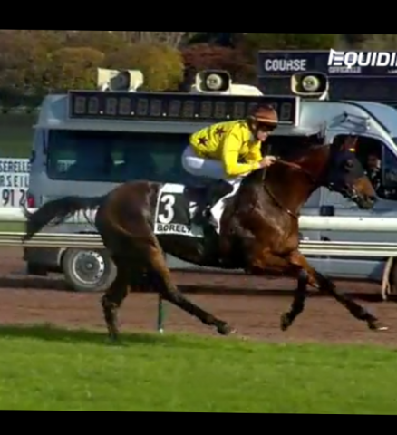 Cashbag : cashbag - saillie ps