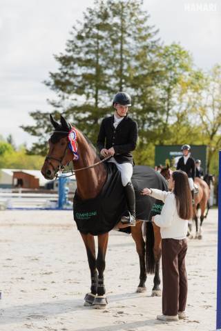 Recherche poste à temps plein en écurie (ile-de-france)