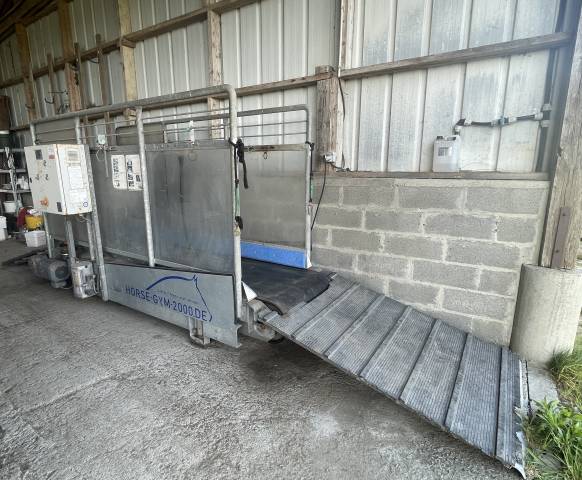 Marcheur tapis horse gym 2000