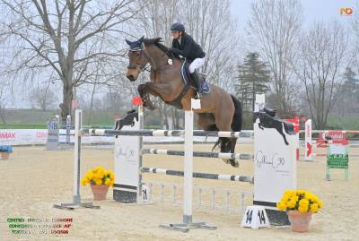 Cavalla da salto ostacoli, di 10 anni, sella francese